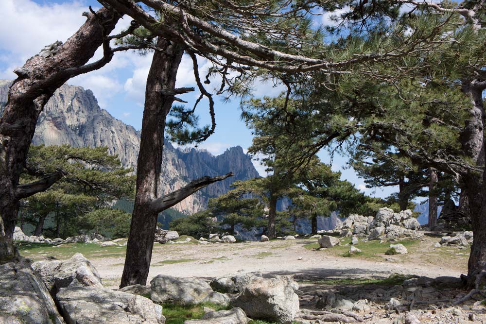 Voyage en Corse Col de Bavella