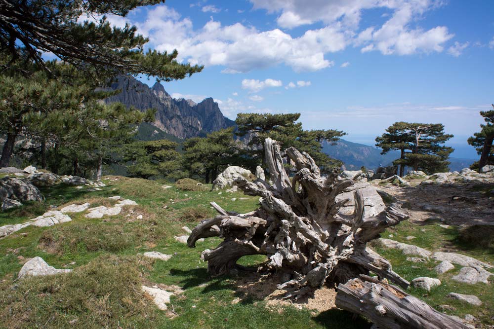 Voyage en Corse Col de Bavella