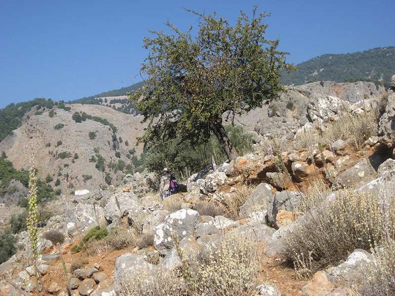 Gorges Aradena