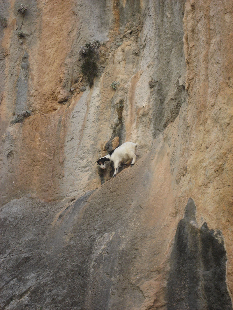 Gorges Aradena