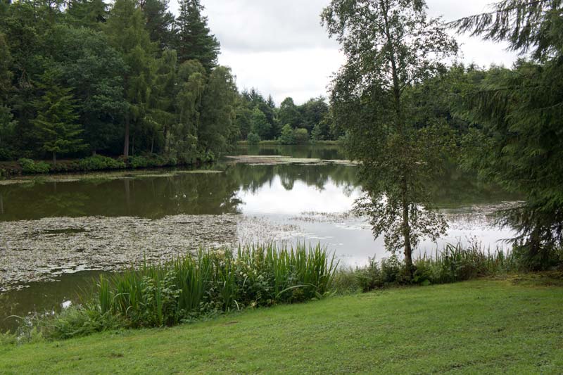 bowhill castle