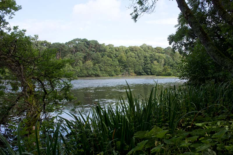 Culzean castle