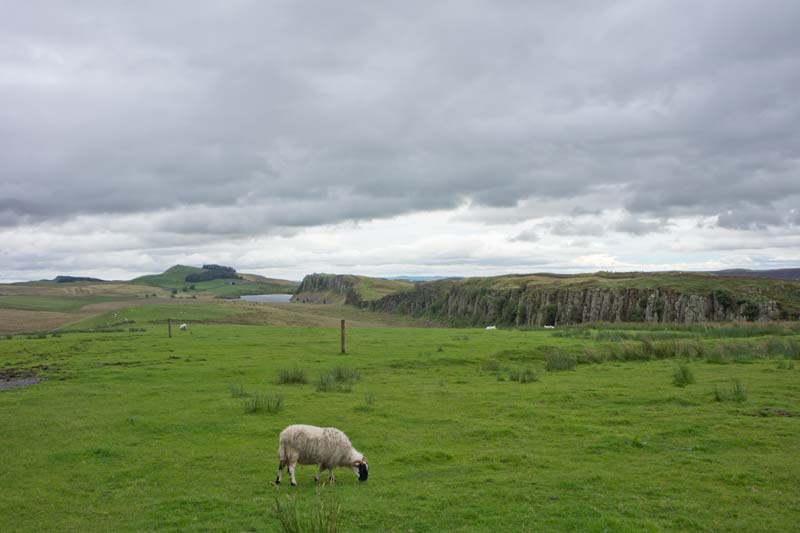 Le mur d'Hadrien