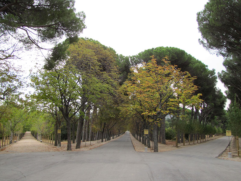 Escorial