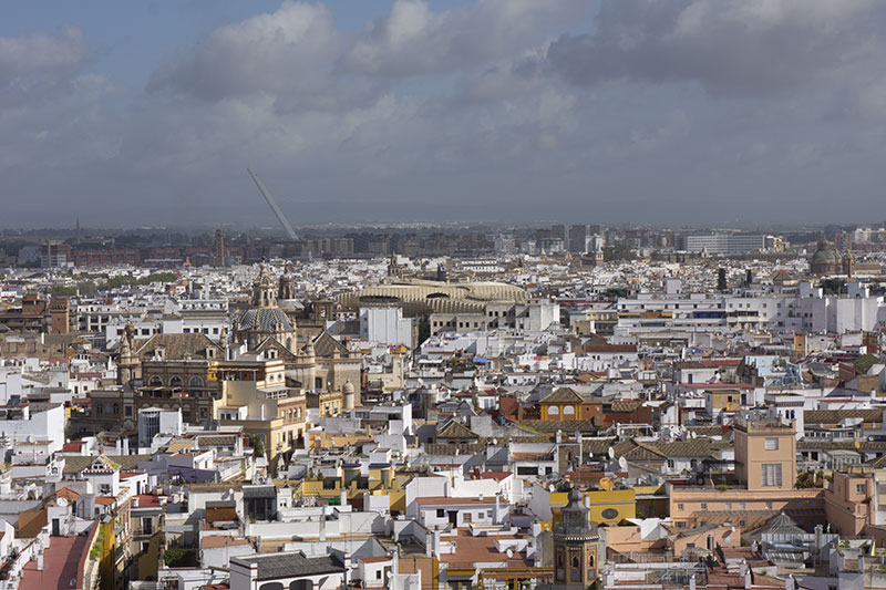 seville cathedrale