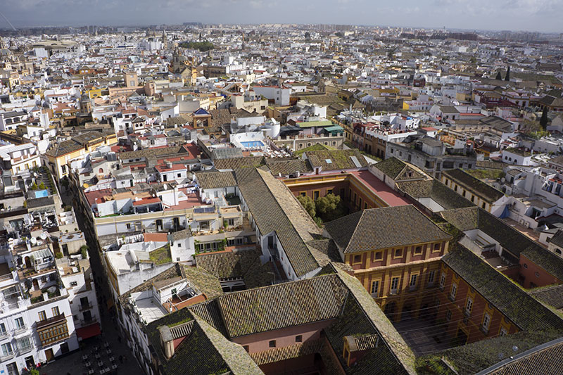 seville cathedrale