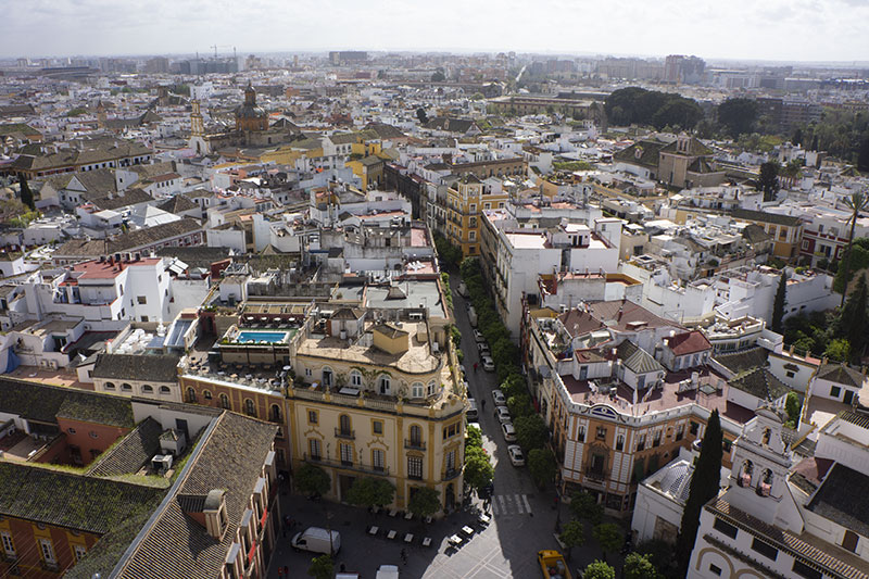 seville cathedrale