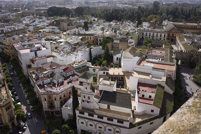 seville cathedrale