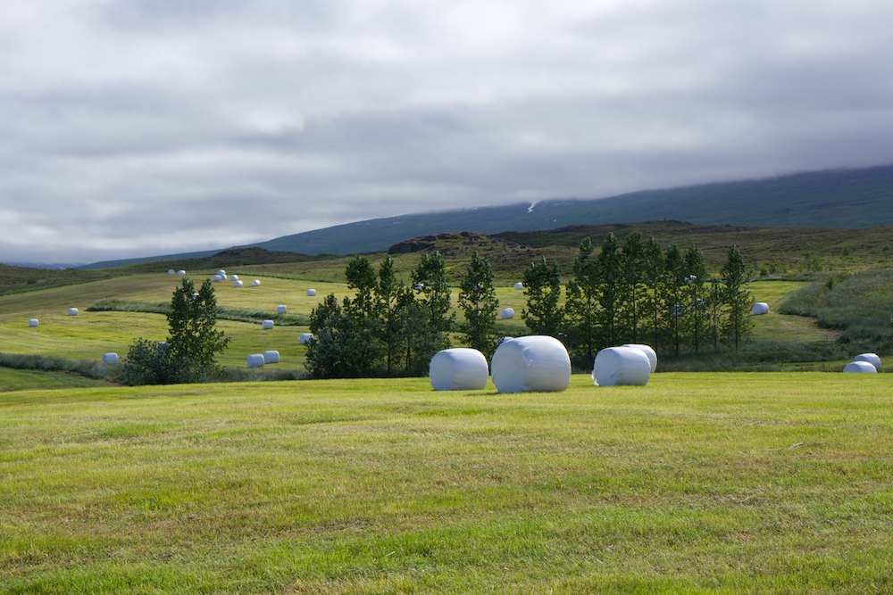 Islande