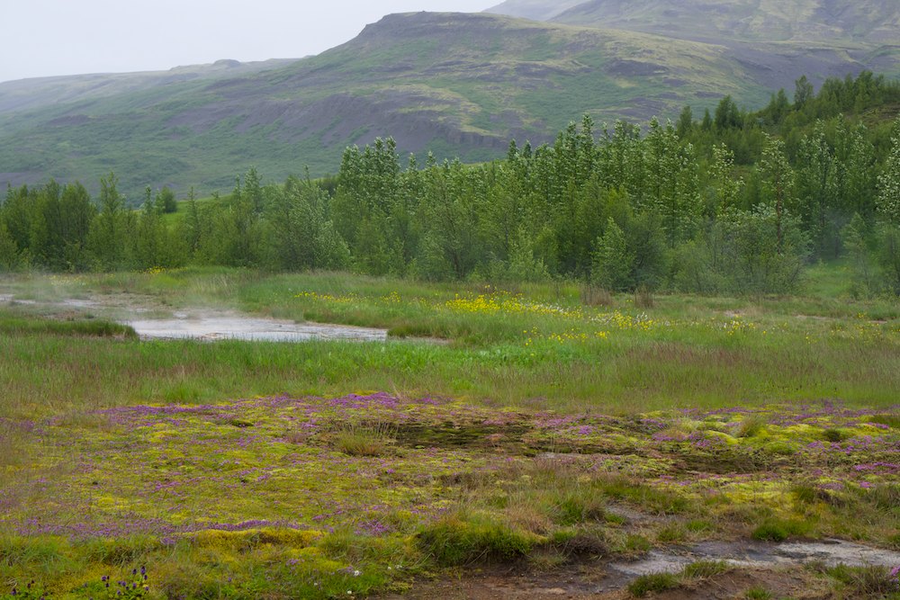 Islande