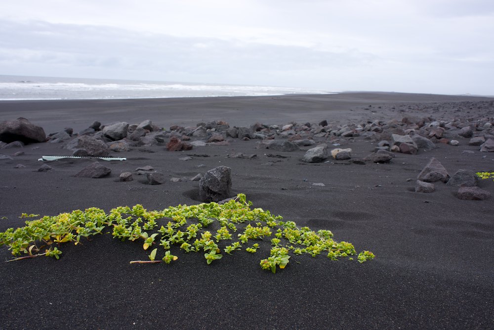 Islande