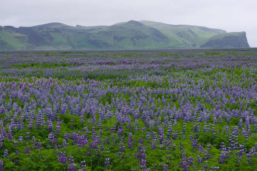 Islande