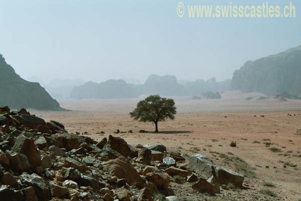 Wadi Rum