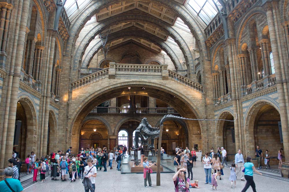 London, Londres, Musee histoire naturelle