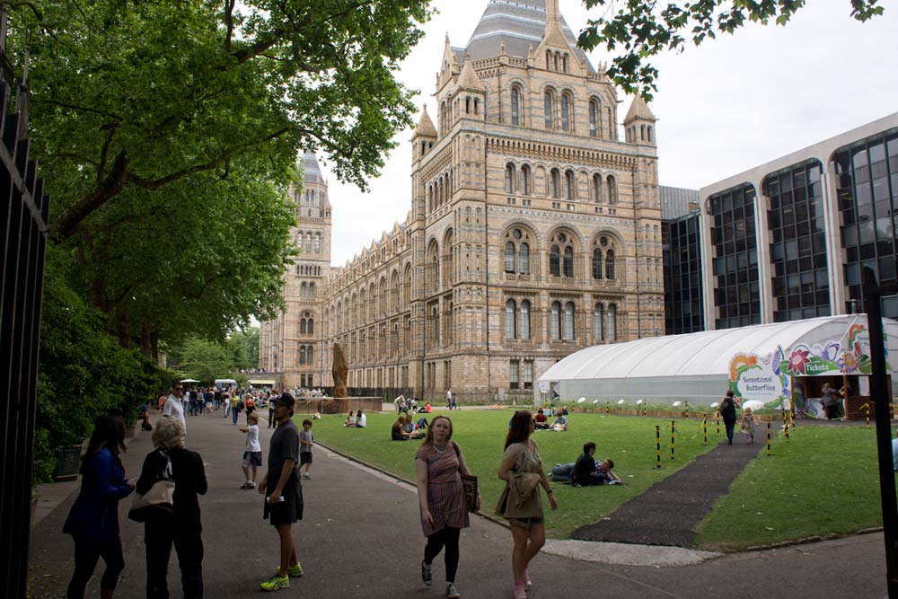 London, Londres, Musee histoire naturelle