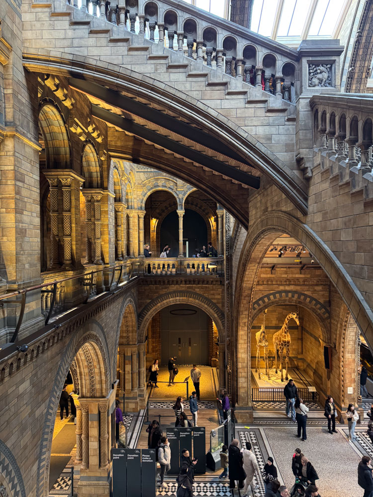London, Londres, Musee histoire naturelle