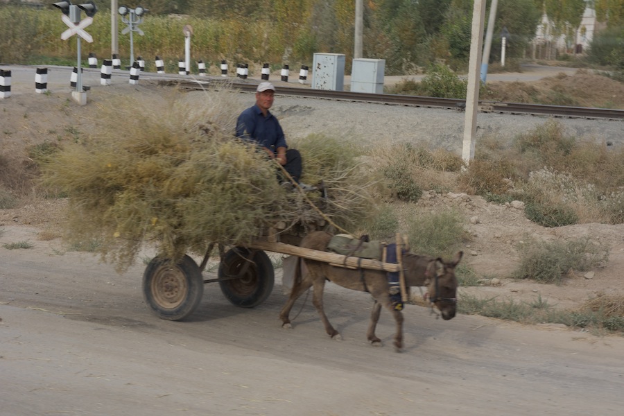 Ouzbekistan 