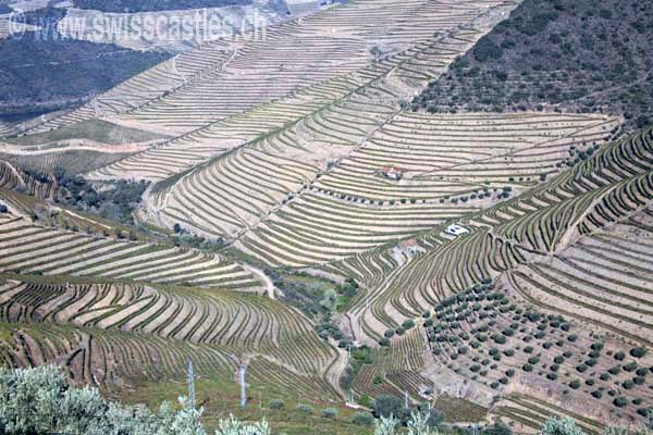 Vallée du Douro