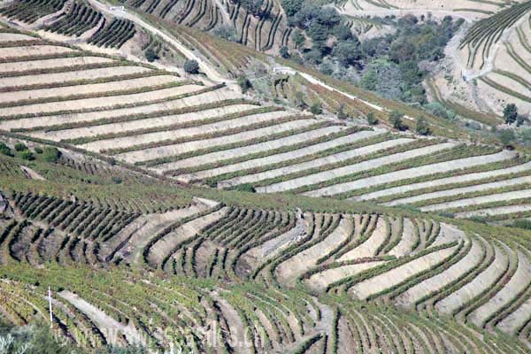 Vallée du Douro