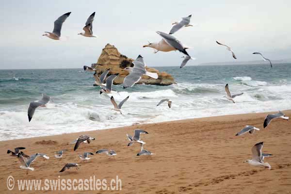 Portimao, plage de la Rocha