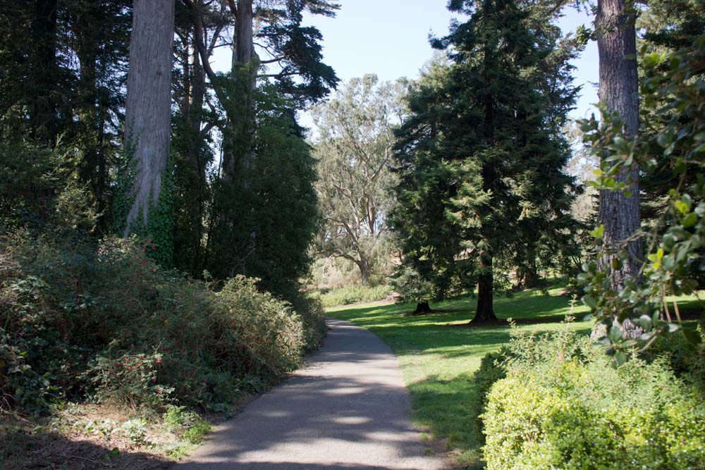 Conservatory of Flowers