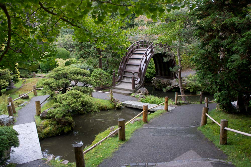 Japanese tea garden