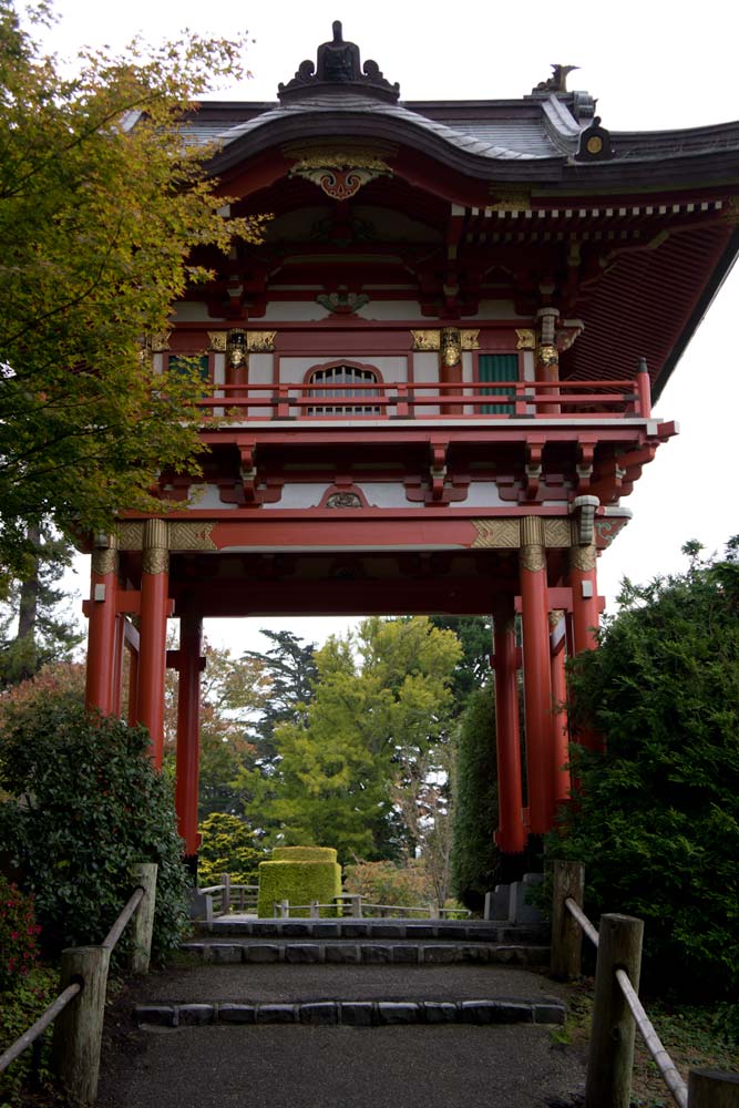 Japanese tea garden