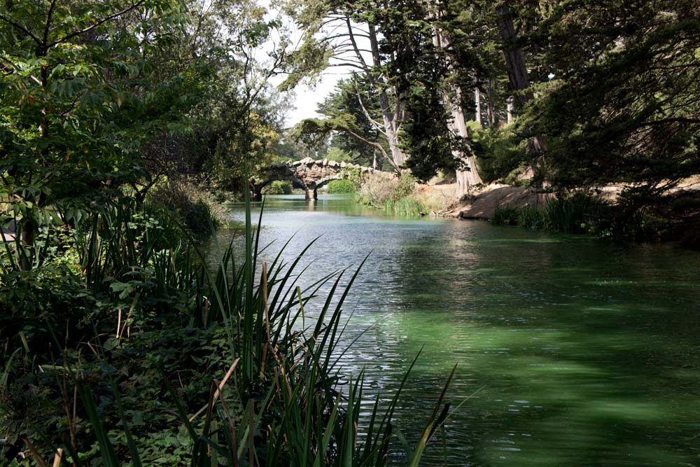 Stow lake