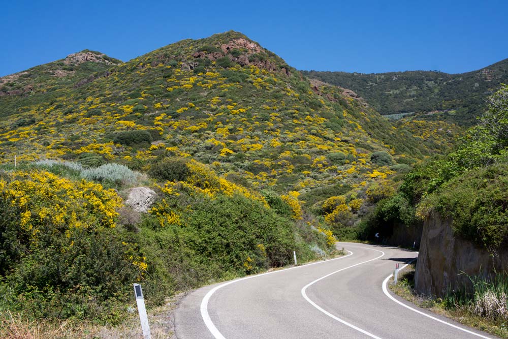 Voyage en Sardaigne, Bosa