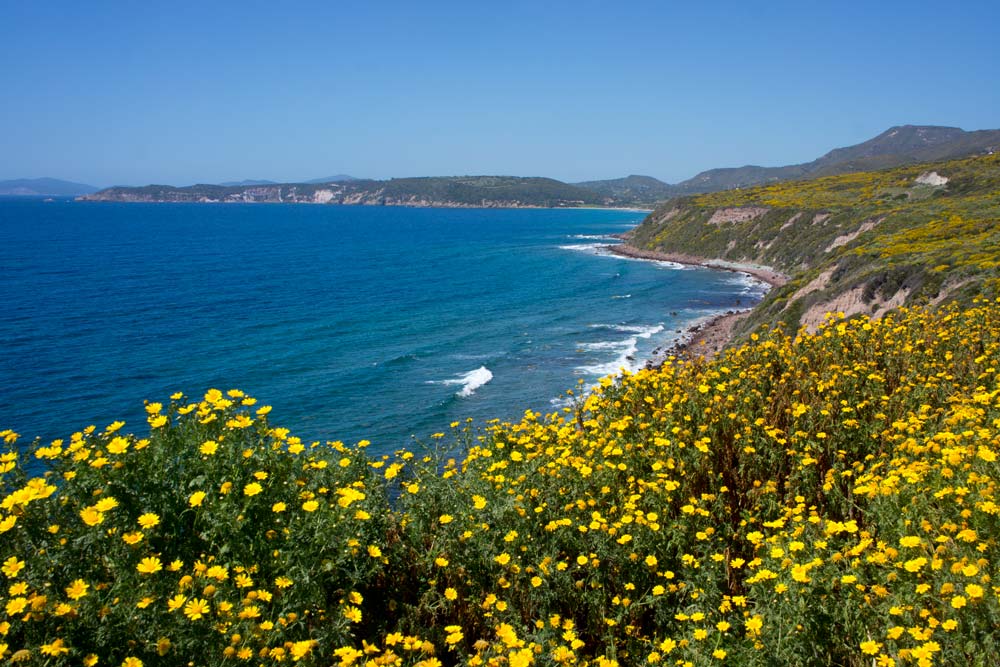 Voyage en Sardaigne, Bosa