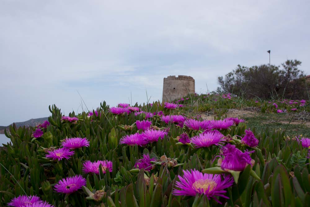 Voyage en Sardaigne, Isola Rossa