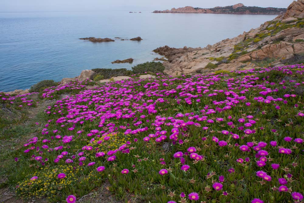 Voyage en Sardaigne, Isola Rossa