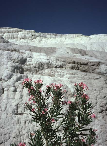 077pammukale