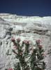 077pammukale