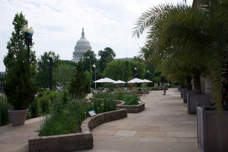 botanique