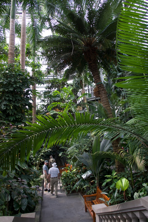 botanique